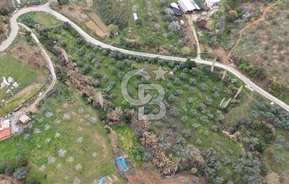 Bayındır Lütuflar Köyü’nde 5.928 m² Satılık Verimli Tarla