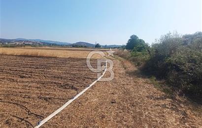 SULU TARIMA UYGUN YOLU SUYU VAR HEMEN ARA SENİN OLSUN
