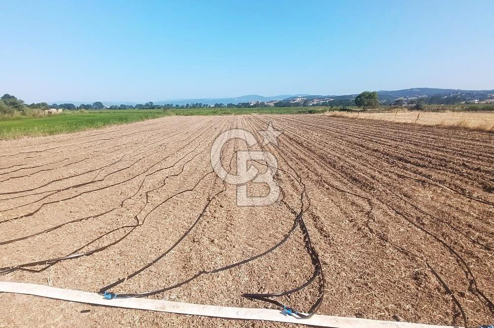 SULU TARIMA UYGUN YOLU SUYU VAR HEMEN ARA SENİN OLSUN