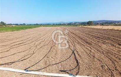 SULU TARIMA UYGUN YOLU SUYU VAR HEMEN ARA SENİN OLSUN