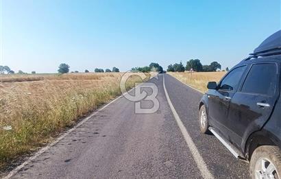 BİGA MERKEZE YAKIN ASFALTA 2 PARSEL HEMEN ARA SATILIK TARLA