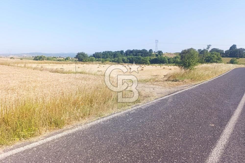BİGA MERKEZE YAKIN ASFALTA 2 PARSEL HEMEN ARA SATILIK TARLA