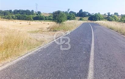 BİGA MERKEZE YAKIN ASFALTA 2 PARSEL HEMEN ARA SATILIK TARLA