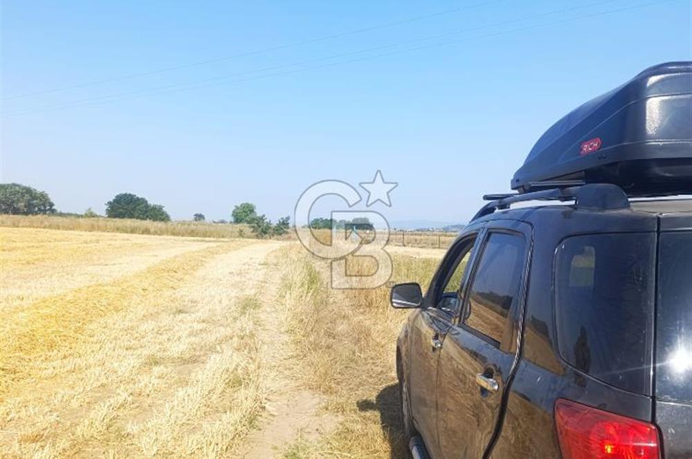 BİGA MERKEZE YAKIN ASFALTA 2 PARSEL HEMEN ARA SATILIK TARLA