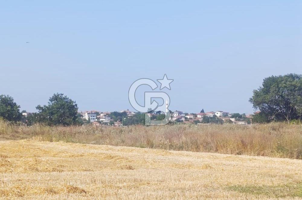 BİGA MERKEZE YAKIN ASFALTA 2 PARSEL HEMEN ARA SATILIK TARLA
