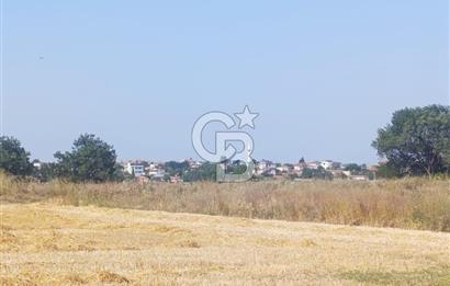 BİGA MERKEZE YAKIN ASFALTA 2 PARSEL HEMEN ARA SATILIK TARLA