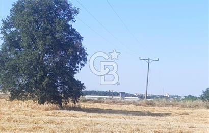 BİGA MERKEZE YAKIN ASFALTA 2 PARSEL HEMEN ARA SATILIK TARLA
