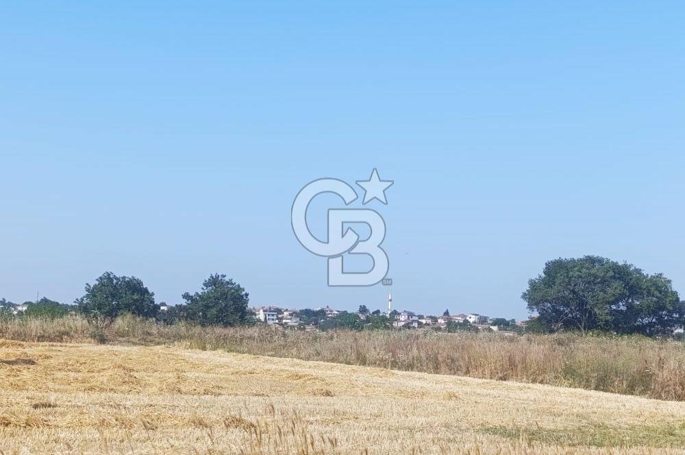 BİGA MERKEZE YAKIN ASFALTA 2 PARSEL HEMEN ARA SATILIK TARLA