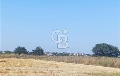 BİGA MERKEZE YAKIN ASFALTA 2 PARSEL HEMEN ARA SATILIK TARLA