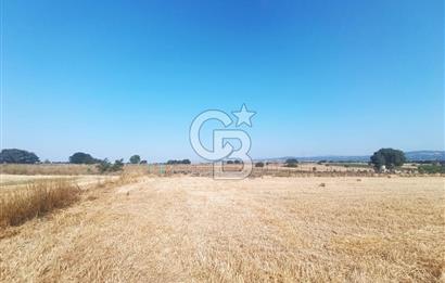 BİGA MERKEZE YAKIN ASFALTA 2 PARSEL HEMEN ARA SATILIK TARLA