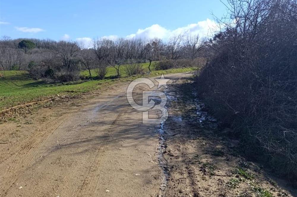 GÖL MANZARALI KÖY İÇİ YOLU ÜZERİ HEMEN AÇIKLAMAYI OKU VE ARA