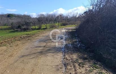 GÖL MANZARALI KÖY İÇİ YOLU ÜZERİ HEMEN AÇIKLAMAYI OKU VE ARA