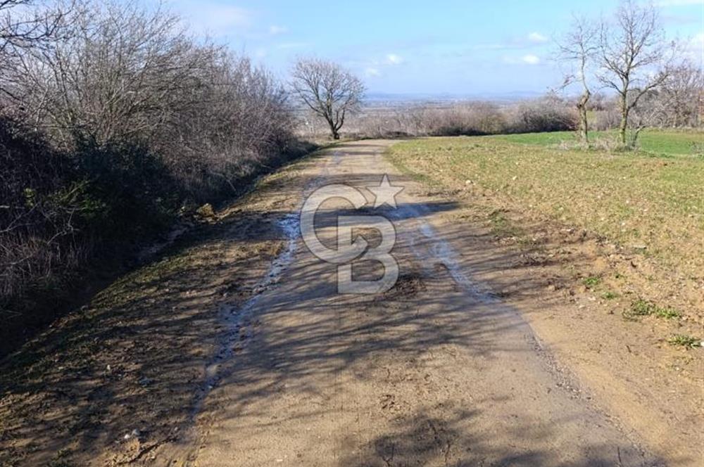 GÖL MANZARALI KÖY İÇİ YOLU ÜZERİ HEMEN AÇIKLAMAYI OKU VE ARA