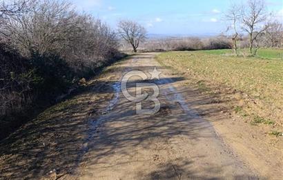 GÖL MANZARALI KÖY İÇİ YOLU ÜZERİ HEMEN AÇIKLAMAYI OKU VE ARA