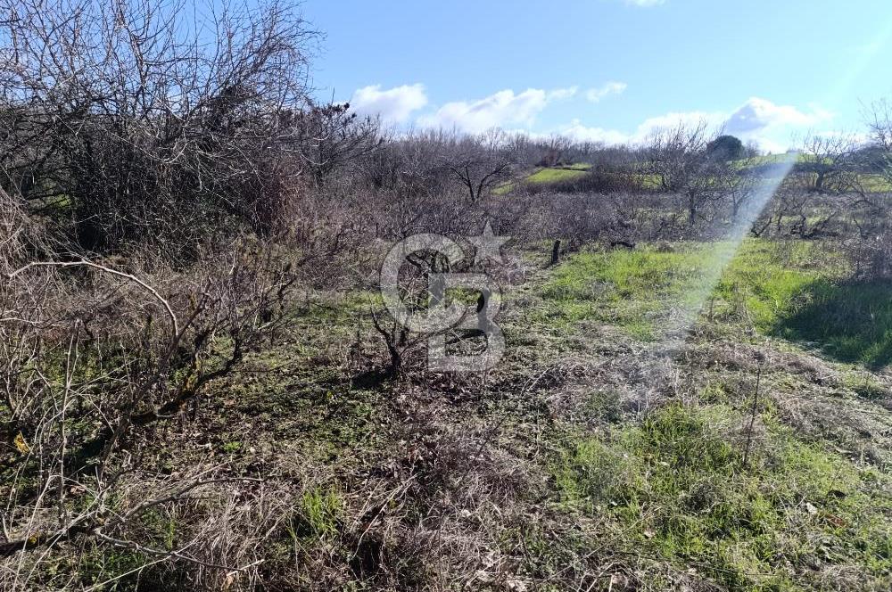 GÖL MANZARALI KÖY İÇİ YOLU ÜZERİ HEMEN AÇIKLAMAYI OKU VE ARA