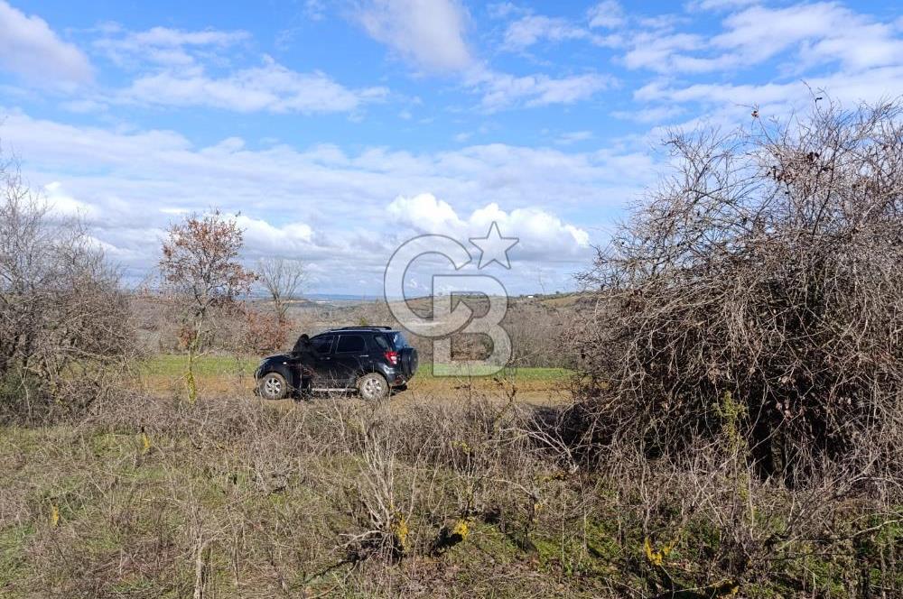 GÖL MANZARALI KÖY İÇİ YOLU ÜZERİ HEMEN AÇIKLAMAYI OKU VE ARA
