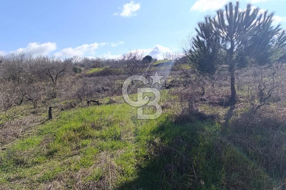 GÖL MANZARALI KÖY İÇİ YOLU ÜZERİ HEMEN AÇIKLAMAYI OKU VE ARA