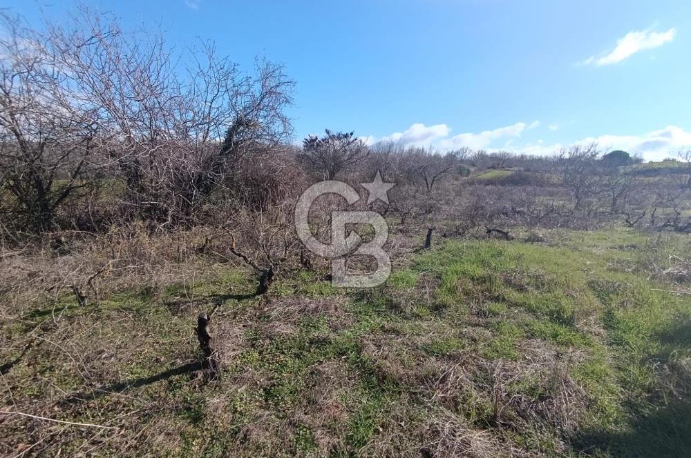 GÖL MANZARALI KÖY İÇİ YOLU ÜZERİ HEMEN AÇIKLAMAYI OKU VE ARA