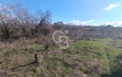 GÖL MANZARALI KÖY İÇİ YOLU ÜZERİ HEMEN AÇIKLAMAYI OKU VE ARA