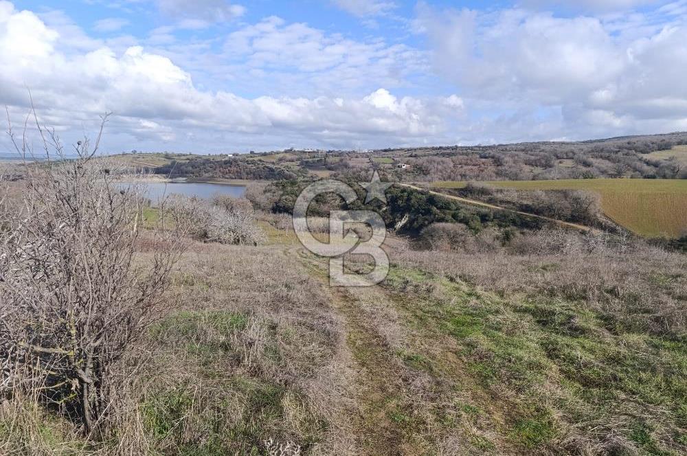 GÖL MANZARALI KÖY İÇİ YOLU ÜZERİ HEMEN AÇIKLAMAYI OKU VE ARA