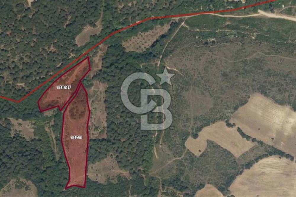 ÇANAKKALE MERKEZ KIZILKEÇİLİ SATILIK 6.422 M2 TARLA
