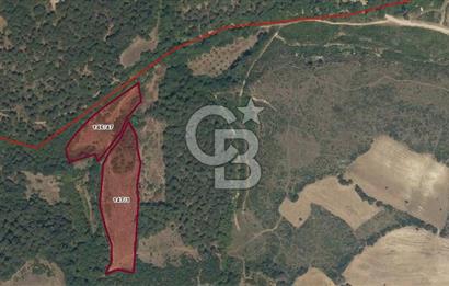 ÇANAKKALE MERKEZ KIZILKEÇİLİ SATILIK 6.422 M2 TARLA