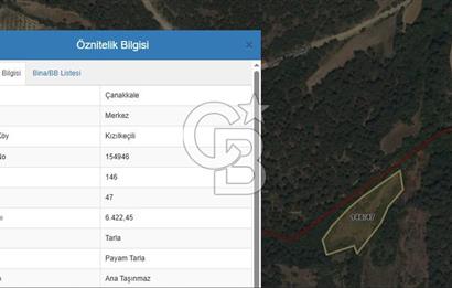 ÇANAKKALE MERKEZ KIZILKEÇİLİ SATILIK 6.422 M2 TARLA