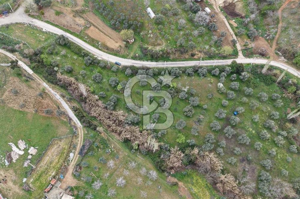 Bayındır Lütuflar Köyü’nde 5.928 m² Satılık Verimli Tarla