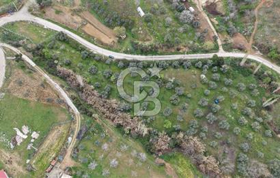 Bayındır Lütuflar Köyü’nde 5.928 m² Satılık Verimli Tarla