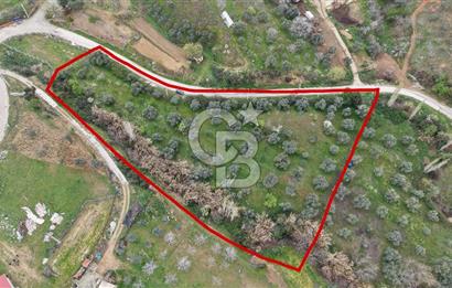 Bayındır Lütuflar Köyü’nde 5.928 m² Satılık Verimli Tarla
