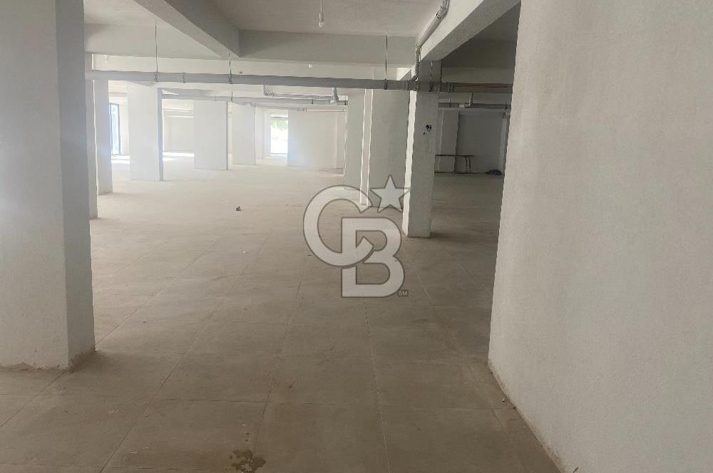 YALOVA ALTINOVA HÜRRİYET MAHALLESİ KİRALIK 880 M2 MAĞAZA !!!!