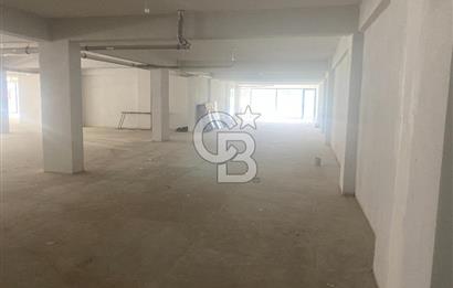 YALOVA ALTINOVA HÜRRİYET MAHALLESİ KİRALIK 880 M2 MAĞAZA !!!!