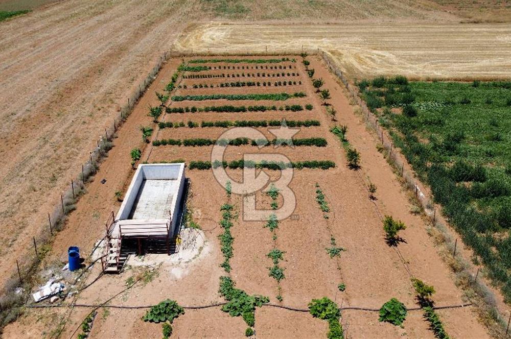 Yaşamaya Hazır 3.524 m² Masrafsız Satılık Tarla ve 2+1 Ev