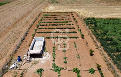 Yaşamaya Hazır 3.524 m² Masrafsız Satılık Tarla ve 2+1 Ev