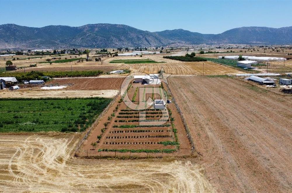 Yaşamaya Hazır 3.524 m² Masrafsız Satılık Tarla ve 2+1 Ev
