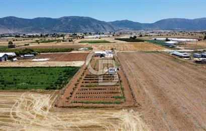 Yaşamaya Hazır 3.524 m² Masrafsız Satılık Tarla ve 2+1 Ev