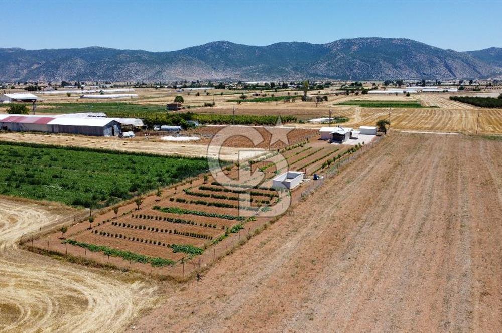 Yaşamaya Hazır 3.524 m² Masrafsız Satılık Tarla ve 2+1 Ev