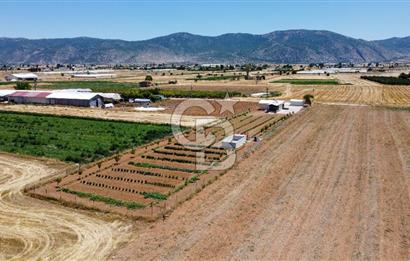 Yaşamaya Hazır 3.524 m² Masrafsız Satılık Tarla ve 2+1 Ev