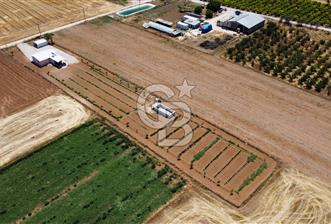 Yaşamaya Hazır 3.524 m² Masrafsız Satılık Tarla ve 2+1 Ev