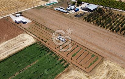 Yaşamaya Hazır 3.524 m² Masrafsız Satılık Tarla ve 2+1 Ev