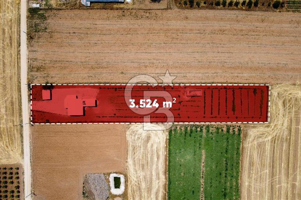 Yaşamaya Hazır 3.524 m² Masrafsız Satılık Tarla ve 2+1 Ev