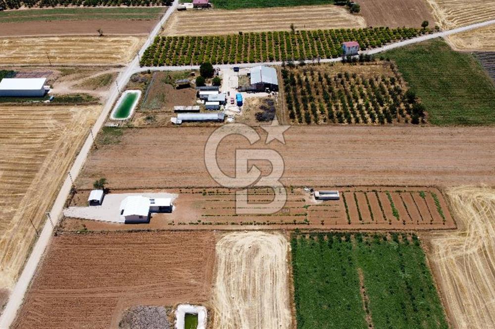 Yaşamaya Hazır 3.524 m² Masrafsız Satılık Tarla ve 2+1 Ev