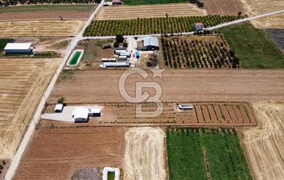 Yaşamaya Hazır 3.524 m² Masrafsız Satılık Tarla ve 2+1 Ev