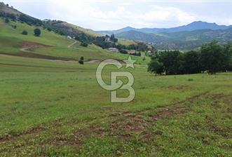 TUNCELİ' DE ANA YOLA YAKIN ARSA FIRSATI