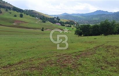 TUNCELİ' DE ANA YOLA YAKIN ARSA FIRSATI
