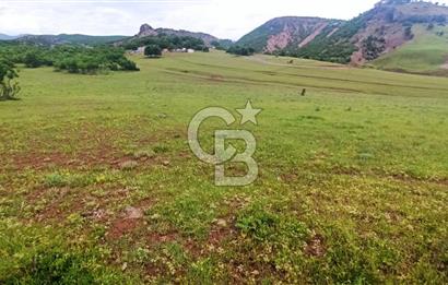 TUNCELİ' DE ANA YOLA YAKIN ARSA FIRSATI