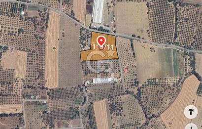 Torbalı Çapak Fırsat Tarla 