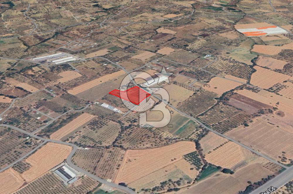Torbalı Çapak Fırsat Tarla 