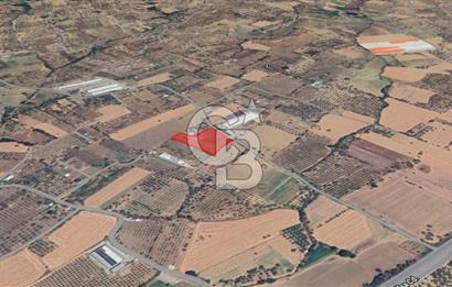 Torbalı Çapak Fırsat Tarla 