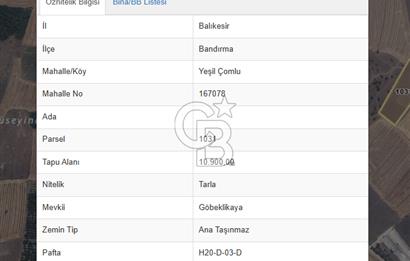 BANDIRMA/YEŞİL ÇOMLU MAHALLESİNDE MERAYA DAYALI SATILIK TARLA